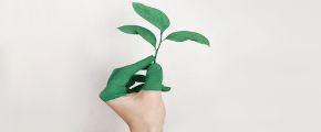 SUSTAINABILITY